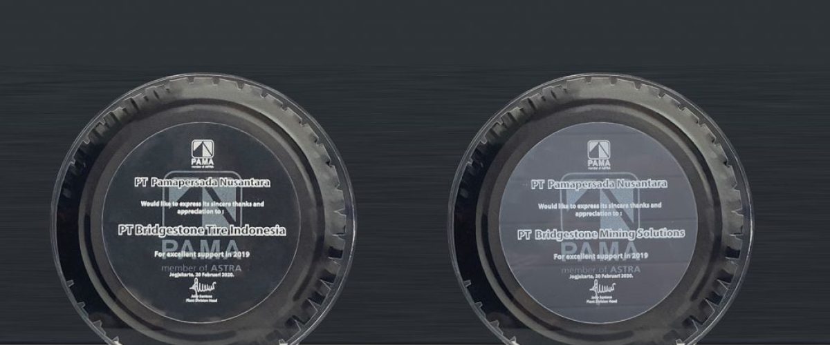 bridgestone-PAMA