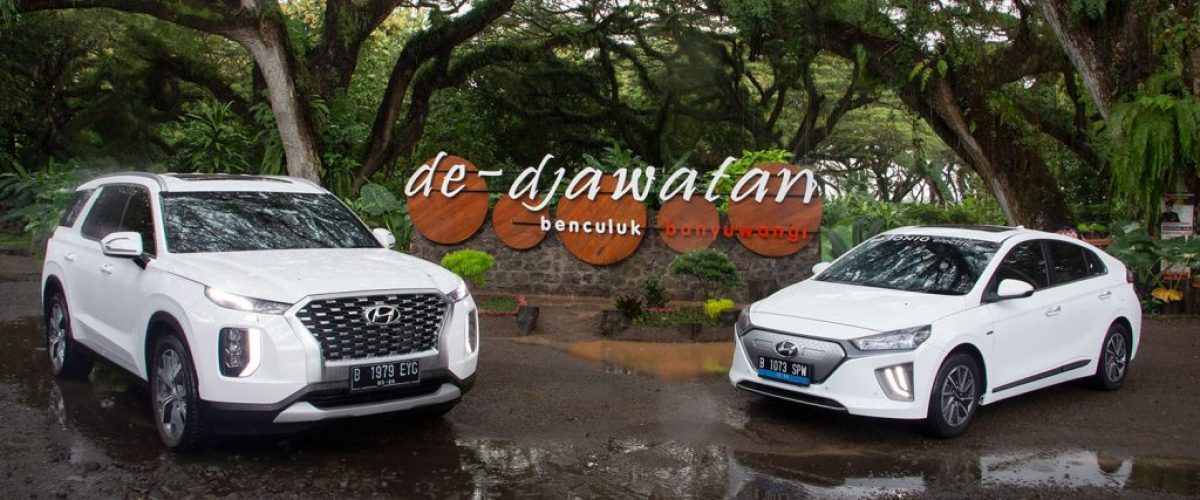 Hyundai-IONIC-elektrik