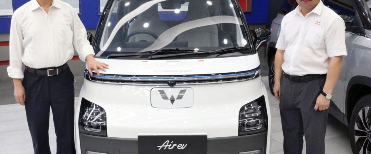 Wuling-dan-Gotion