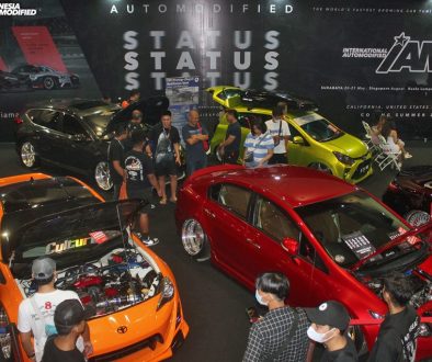 IAM-STATUS-2023-IIMS