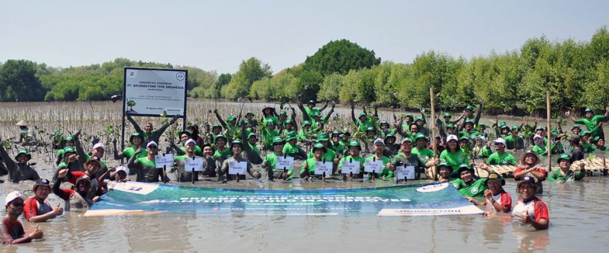 Bridgestone-Tanam-pohon-Mangrove